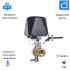 Автополив WI-FI Smart Life RQF-1T